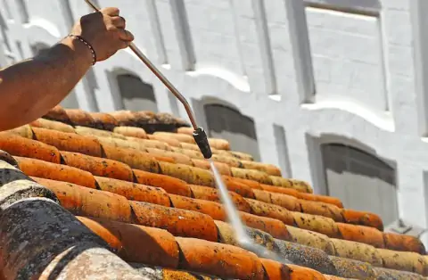 Nettoyage de toitures - Mauves-sur-Huisne